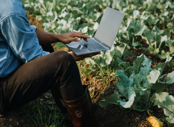 Why Farms Need a Professional Website More Than Ever