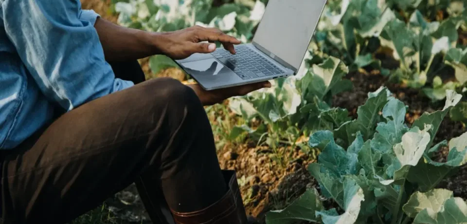 Why Farms Need a Professional Website More Than Ever