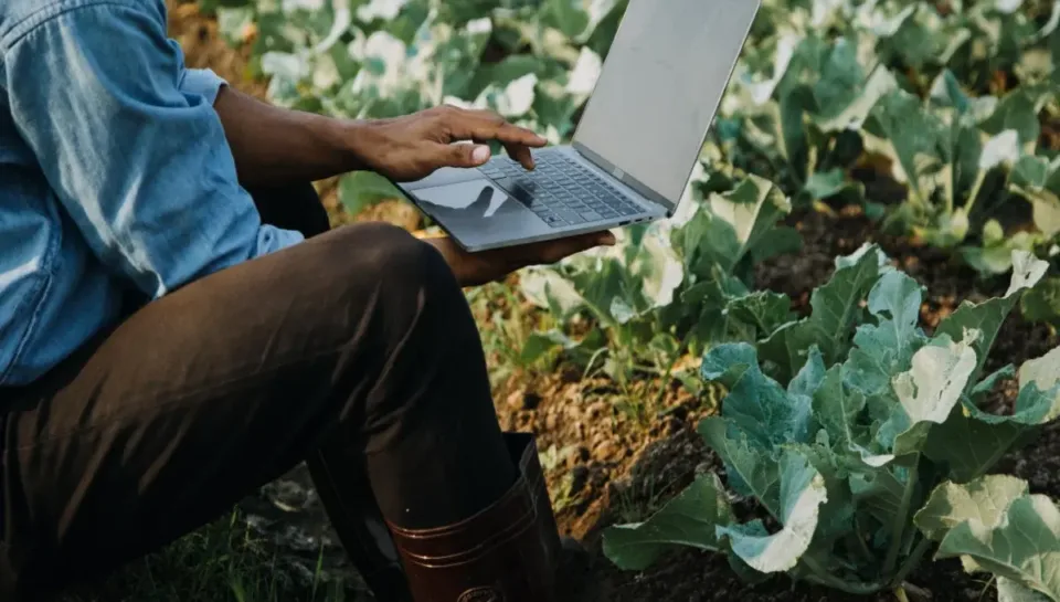 Why Farms Need a Professional Website More Than Ever